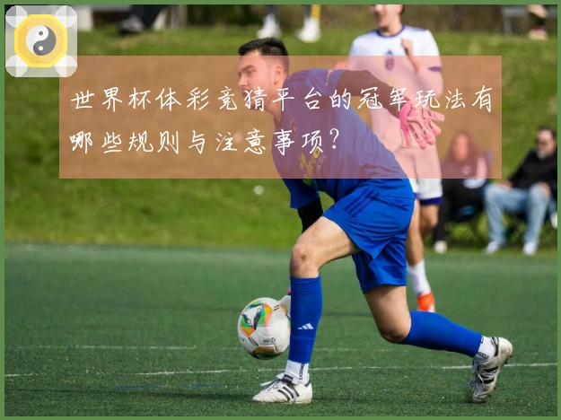 世界杯体彩竞猜平台的冠军玩法有哪些规则与注意事项？