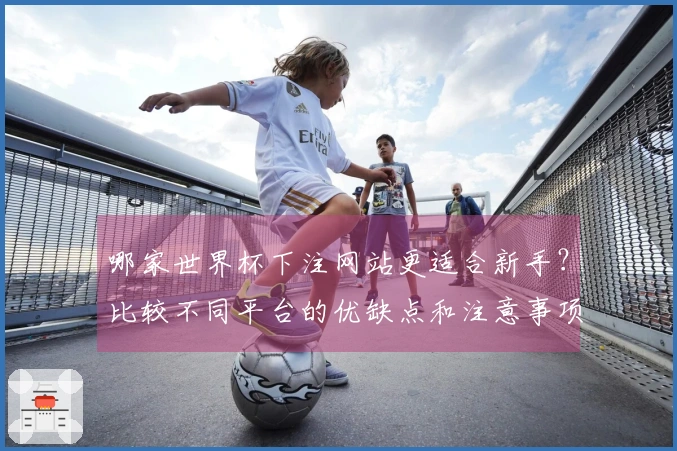 哪家世界杯下注网站更适合新手？比较不同平台的优缺点和注意事项